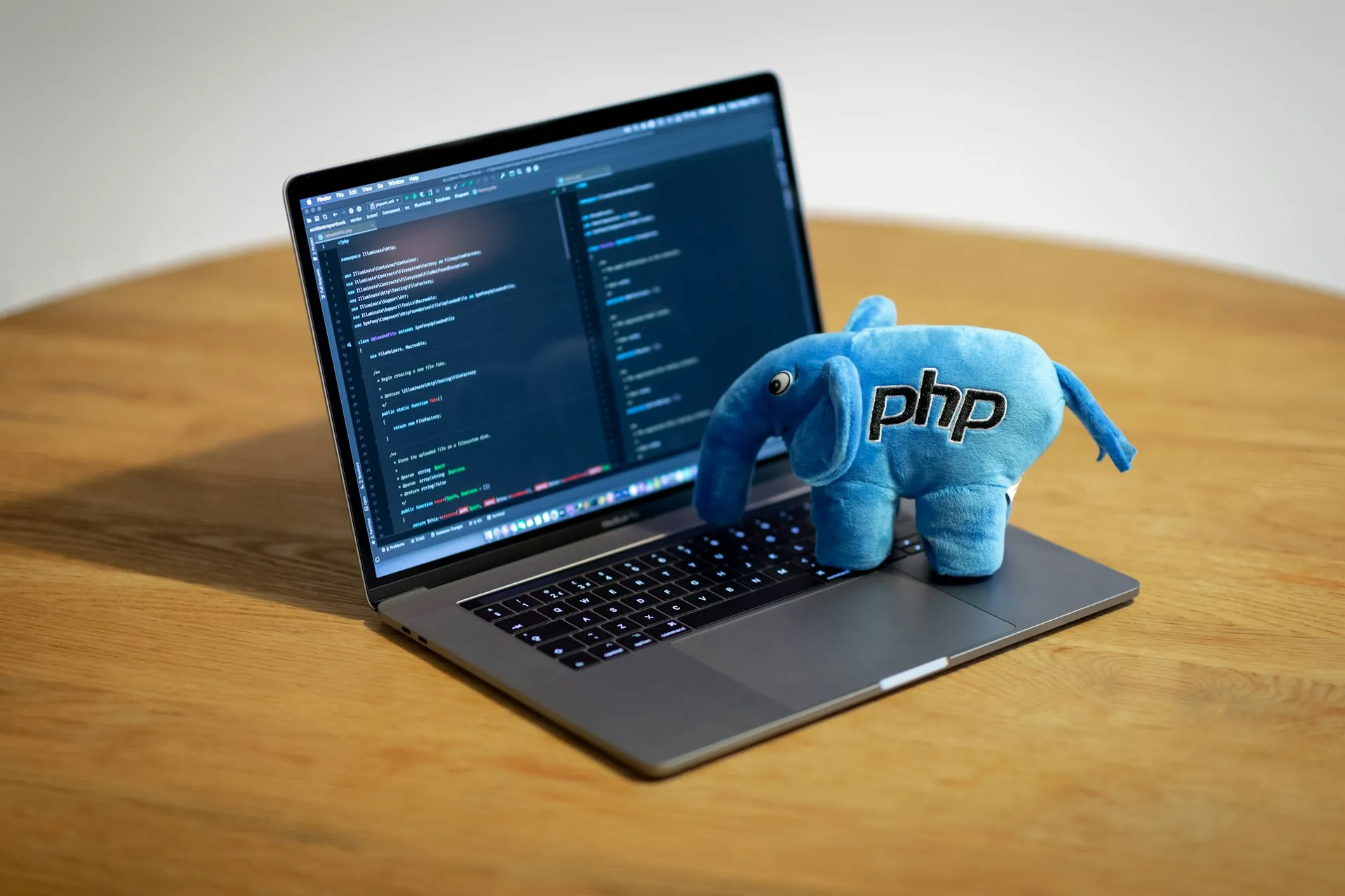 Softwareentwicklung